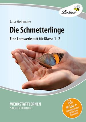 Die Schmetterlinge. Grundschule, Sachunterricht, Klasse 1-2