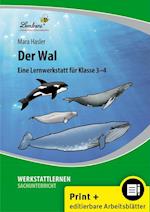 Der Wal