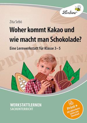 Woher kommt Kakao und wie macht man Schokolade?