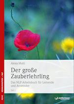 Der große Zauberlehrling. Teil 1/2