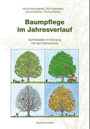 Baumpflege im Jahresverlauf