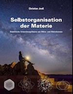 Selbstorganisation der Materie