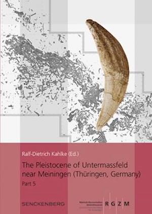 The Pleistocene of Untermassfeld near Meiningen (Thüringen, Germany)