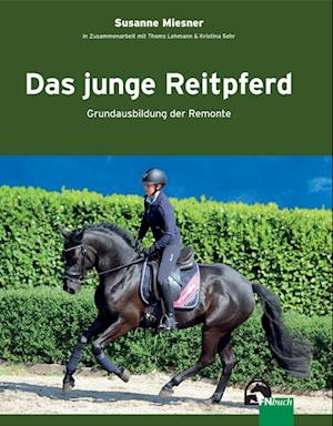 Das junge Reitpferd