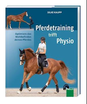 Pferdetraining trifft Physio
