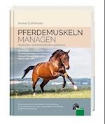 Pferdemuskeln managen