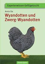 Wyandotten und Zwerg-Wyandotten