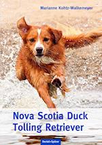 Nova Scotia Duck Tolling Retriever