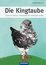 Die Kingtaube