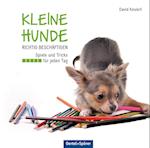 Kleine Hunde richtig beschäftigen