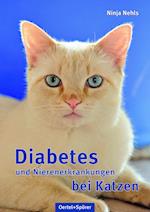 Diabetes und Nierenerkrankungen bei Katzen