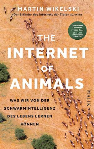 The Internet of Animals: Was wir von der Schwarmintelligenz des Lebens lernen können