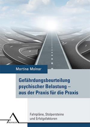 Gefährdungsbeurteilung psychischer Belastung ? aus der Praxis für die Praxis