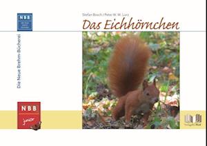 Das Eichhörnchen