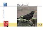 Die Amsel