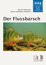 Der Flussbarsch - Perca fluviatilis