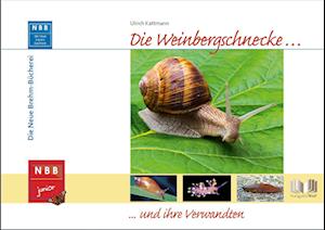 Die Weinbergschnecke und ihre Verwandten