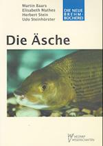 Die Äsche