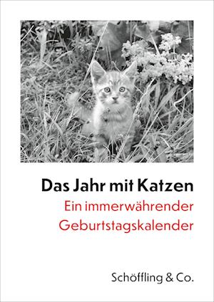 Das Jahr mit Katzen