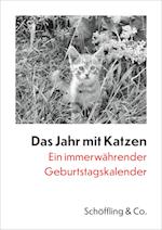 Das Jahr mit Katzen