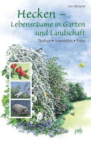 Hecken - Lebensräume in Garten und Landschaft