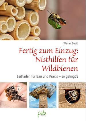 Fertig zum Einzug: Nisthilfen für Wildbienen