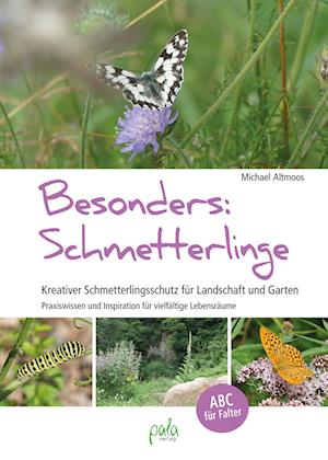 Besonders: Schmetterlinge