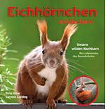 Eichhörnchen entdecken!