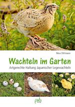 Wachteln im Garten