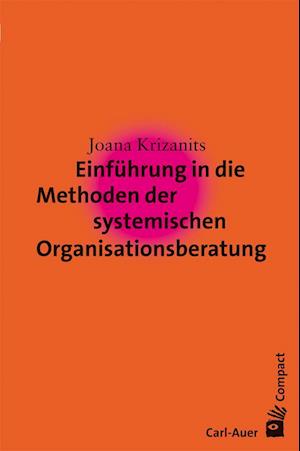 Einführung in die Methoden der systemischen Organisationsberatung