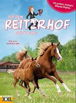 Auf dem Reiterhof geht´s rund - mit großem, farbigem Pferde-Poster