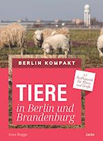 Tiere in Berlin und Brandenburg