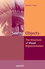 Seeing Objects: The Structure of Visual Representation