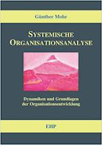 Systemische Organisationsanalyse