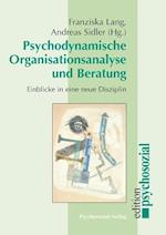 Psychodynamische Organisationsanalyse Und Beratung
