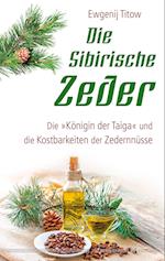 Die sibirische Zeder