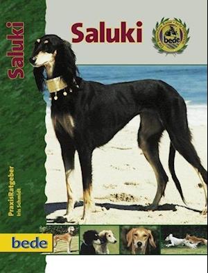 PraxisRatgeber Saluki