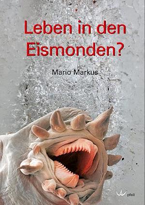 Leben in den Eismonden?