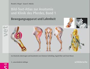 Bild-Text-Atlas zur Anatomie und Klinik des Pferdes