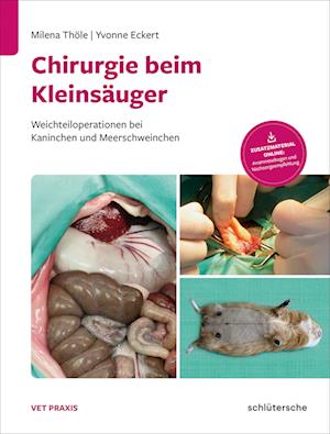 Chirurgie beim Kleinsäuger