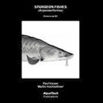 Sturgeon Fishes (Acipenseriformes)