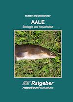 Aale (Anguillidae)
