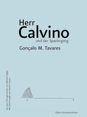 Herr Calvino und der Spaziergang