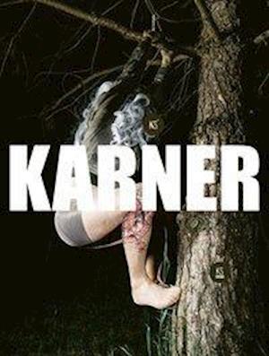 Karl Karner