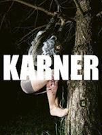 Karl Karner