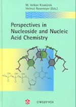 Perspectives in Nucleoside and Nucleic Acid Chemistry