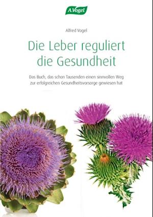 Die Leber reguliert die Gesundheit