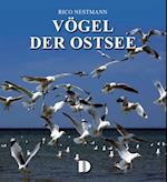 Vögel der Ostsee