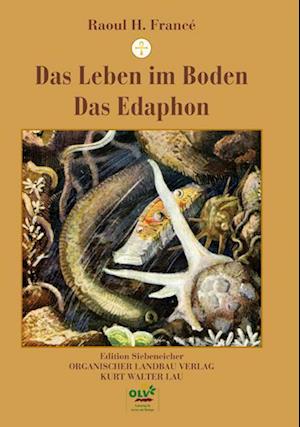 Das Leben im Boden / Das Edaphon