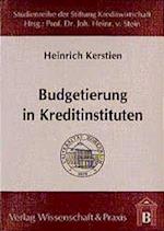 Budgetierung in Kreditinstituten